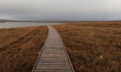 Featured image of post Walking